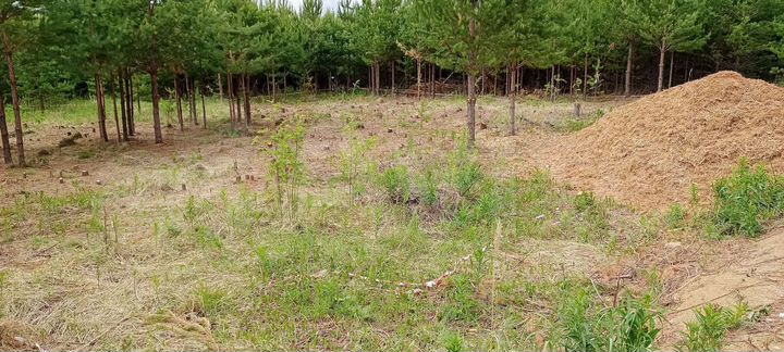 Участок 6 сот. (ИЖС)