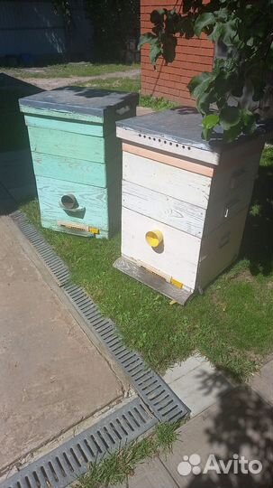 Ульи для пчел