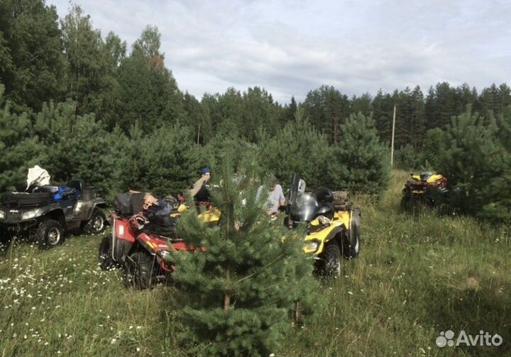 Покататься на квадроциклах