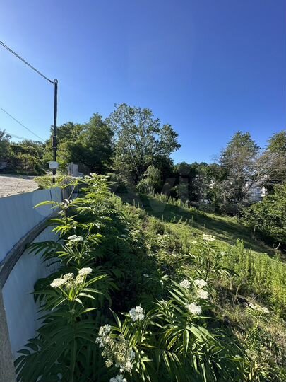 Участок 3,8 сот. (ИЖС)