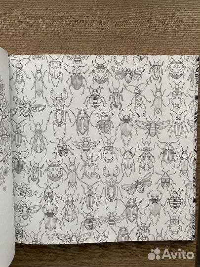 Книга раскраска 