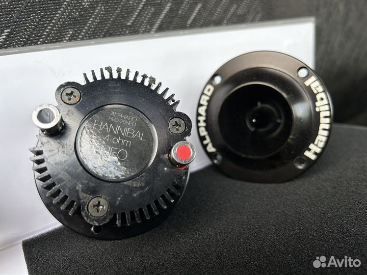 Рупора alphard