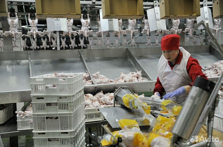 Оператор линии вахта проживание и питание