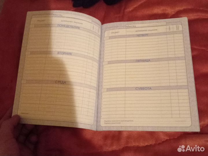 Дневник школьный