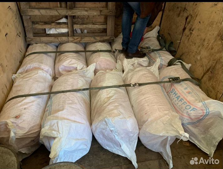 Грузовые перевозки оплата в одну сторону межгороду