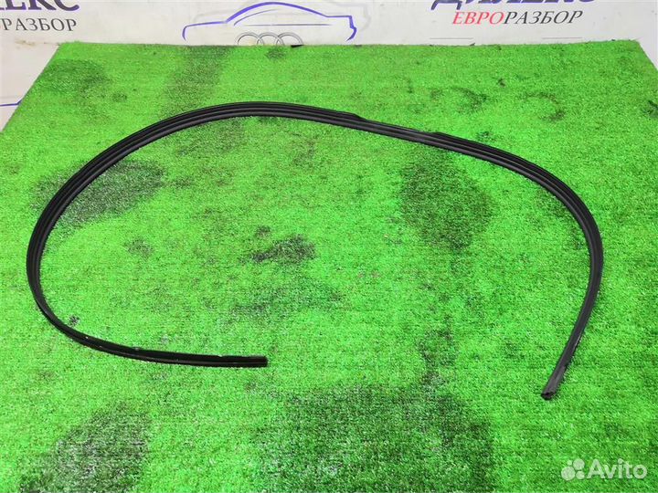 Уплотнитель Audi A5 /S5 Coupe/Sportback 2008