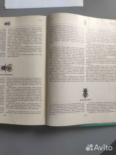 Мир животных Игорь Акимушкин