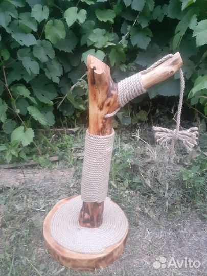 Когтеточка