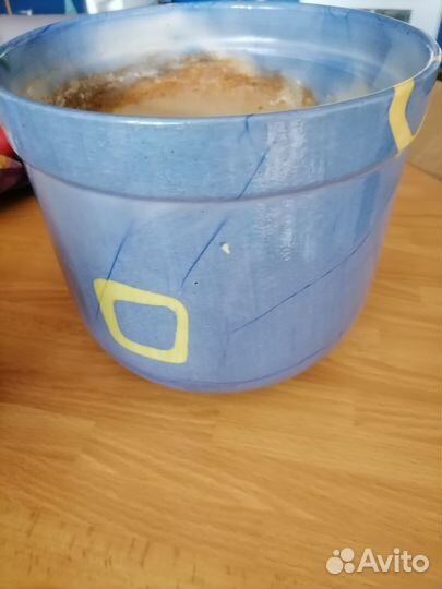 Кашпо горшок для цветов