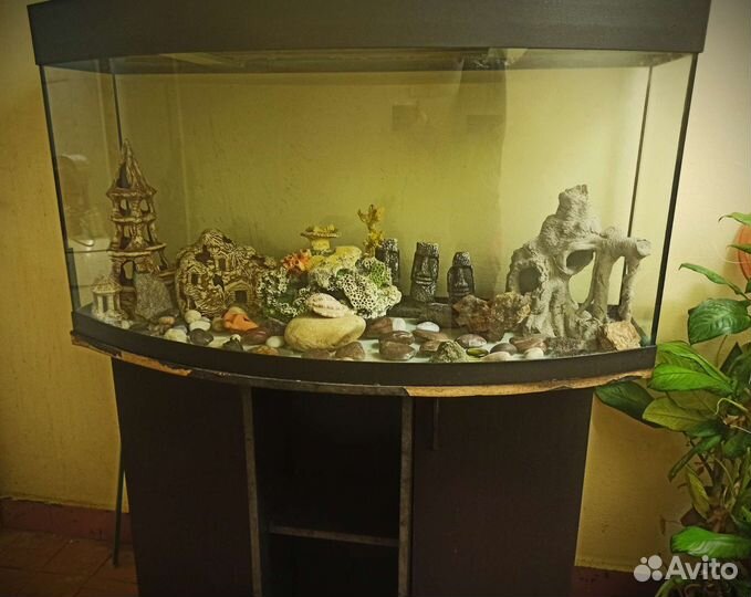 Аквариум 240 литров с тумбой и допом
