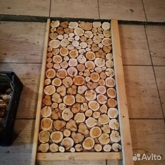 Можжевельника спилы