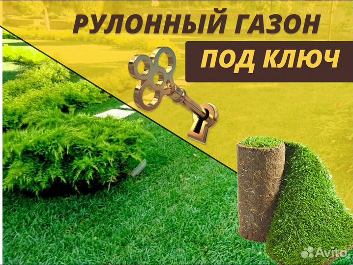 Рулонный газон Стандартный