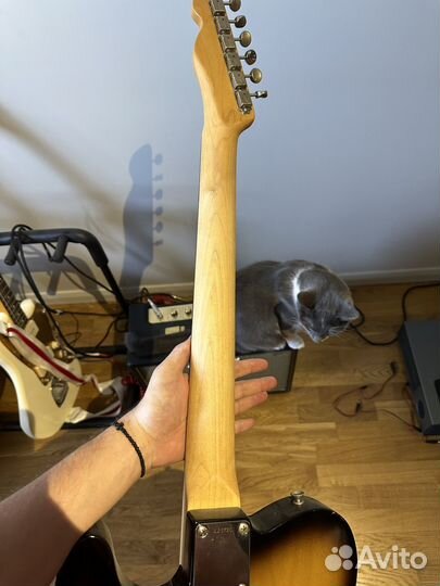 Tokai Telecaster breezy sound Japan 1984