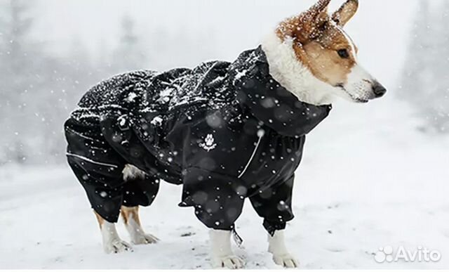 Куртка дождевик для средней собаки