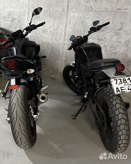 Minsk (Минск) SCR 250, 2021