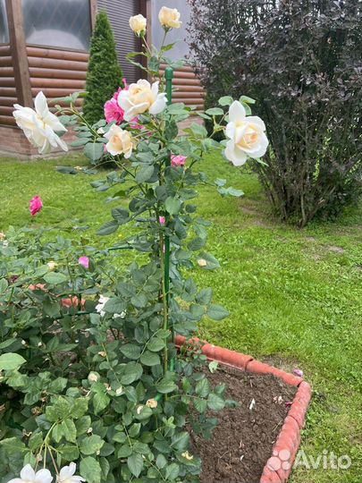 Опора для растений