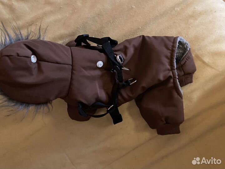 Зимний комбинезон для маленькой собачки