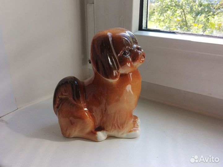 Пекинес. лфз