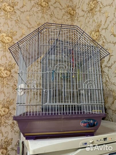 Клетка для попугая