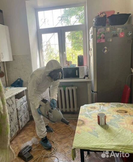 Уничтожение тараканов, клопов,мышей,комаров клещей