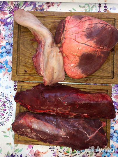 Продам мясо лося