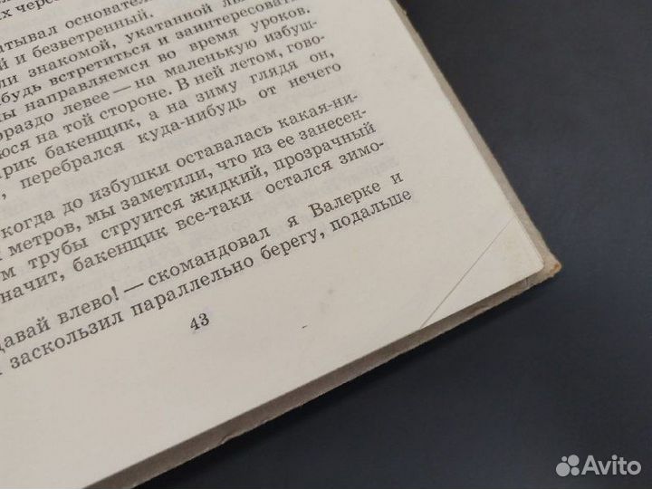 В. Сиснев. Мальчишка