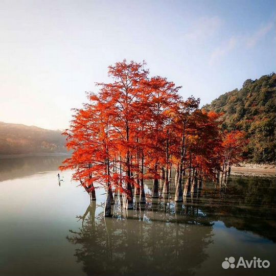 Кипарисовое озеро и Большой утриш