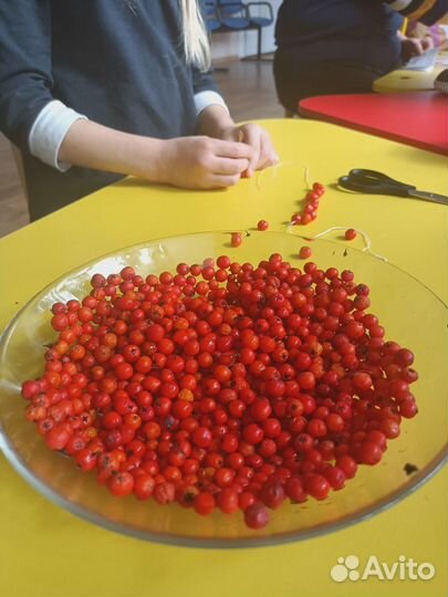 Частная школа