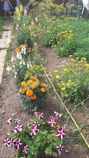 Дом 49 м² на участке 15 сот.