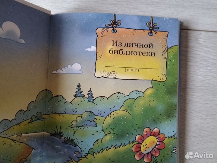 Зоки и бада книга Тюхтяевы