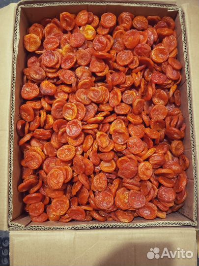 Курага новый урожай