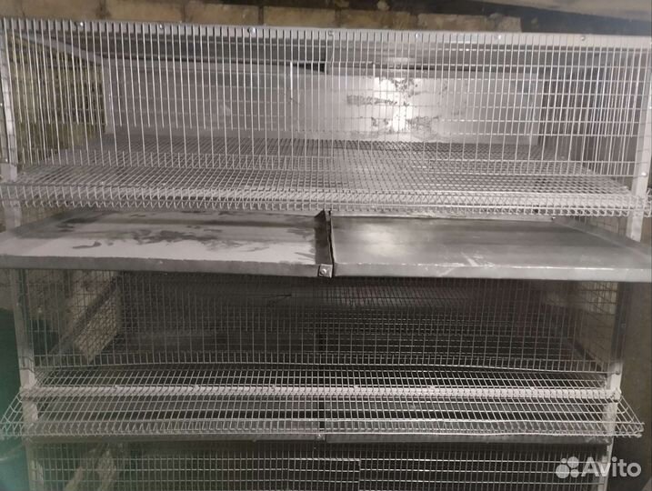 Клетки для перепелов