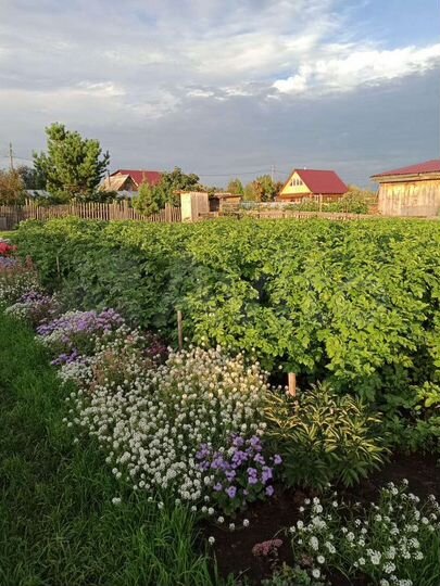 Участок 8 сот. (СНТ, ДНП)