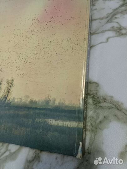 Кай Карри-Линдал Птицы над сушей и морем