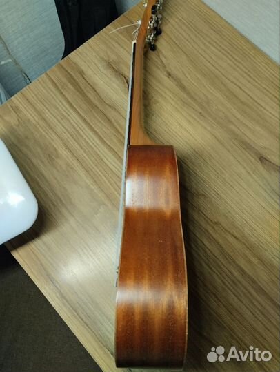 Укулеле flight концерт