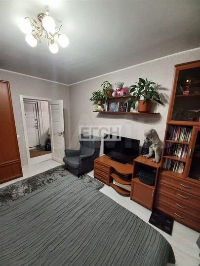 2-к. квартира, 53,7 м², 5/17 эт.