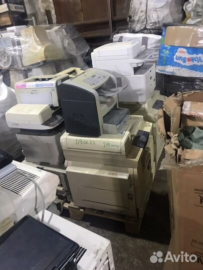 Продам принтер на зип