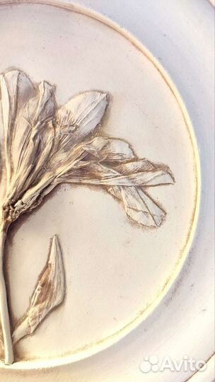 Ботанический барельеф