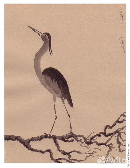 Репетитор по высшей математике