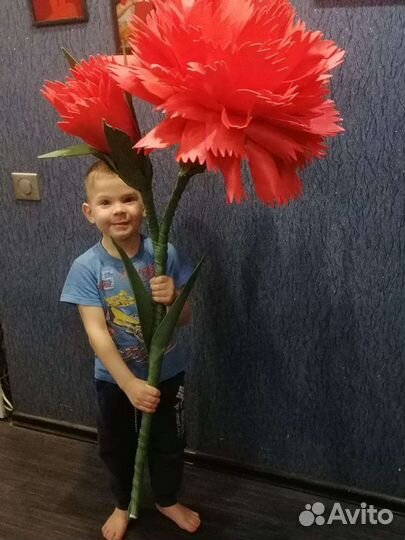 Ростовые цветы, аренда и продажа