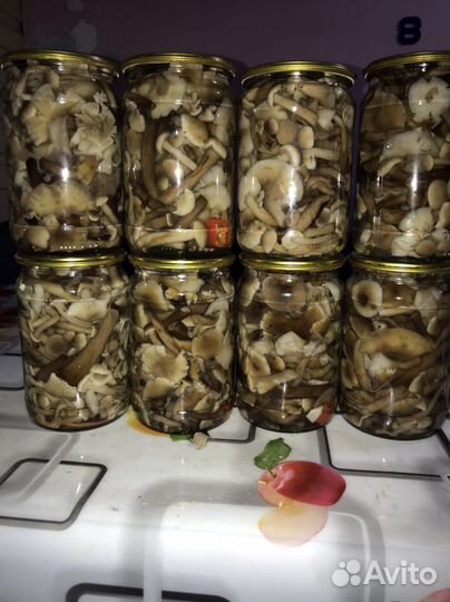 Грибы опята маринованные