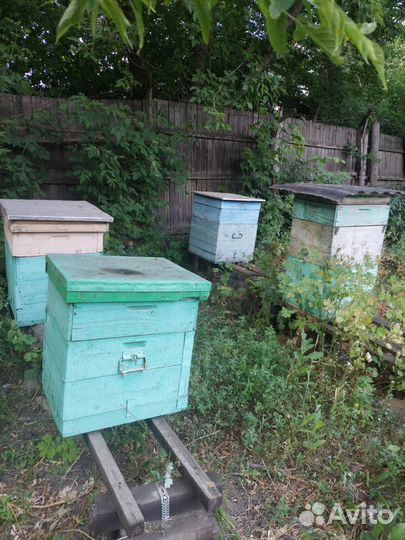 Все для пасеки