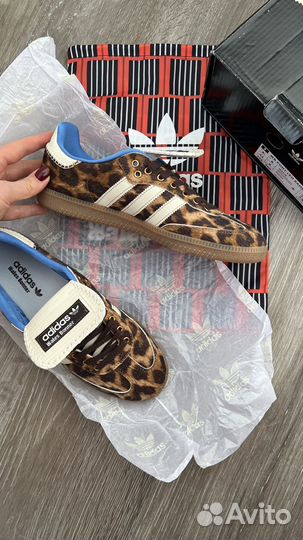 Кеды adidas & Wales Bonner леопард