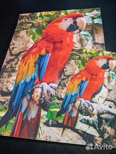 Печать фотографий визиток листовок ламинирование