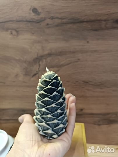 Свеча шишка