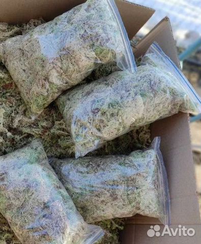 Субстрат для растений мох сфагнум