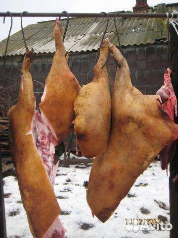 Домашняя свинина заказ от 5 кг