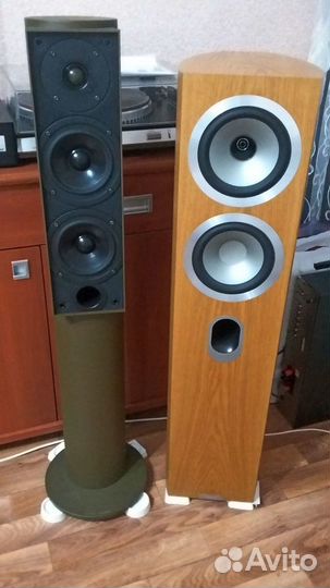 Динамики и колонки