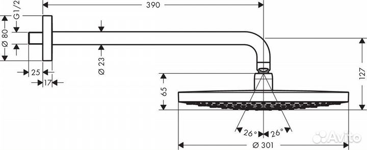 Верхний душ hansgrohe Raindance Select S 300