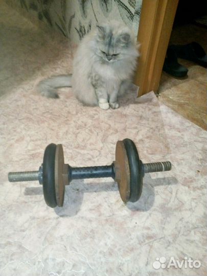 Гантеля разборная